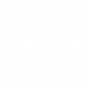 Logo Boomerang Healthcare